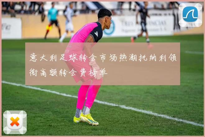 意大利足球转会市场热潮托纳利领衔高额转会费榜单